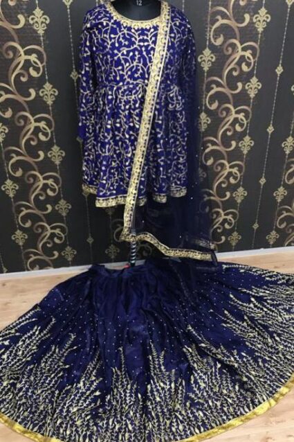 Blue Colour  Designer embrodiery  Work Quality Lahenga