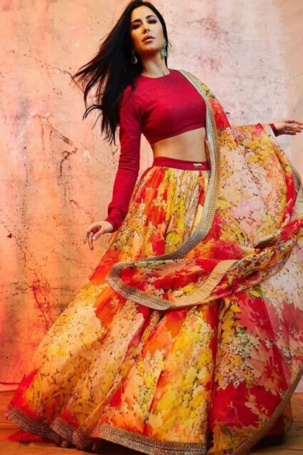 Katrina Kaif Organza Lehenga Choli with Dupatta