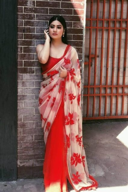 Red colour Classic Saree On Net And Georgette