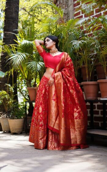 Elegant Red Crop Top Lehenga choli for wedding wear