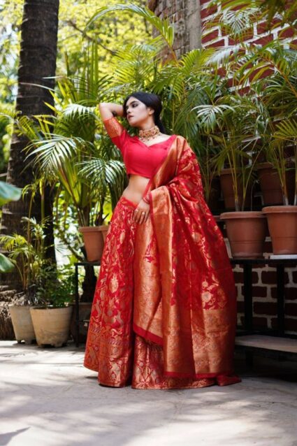 Elegant Red Crop Top Lehenga choli for wedding wear