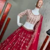 Trendy and Designer Candy Red Embellished Lehenga Choli