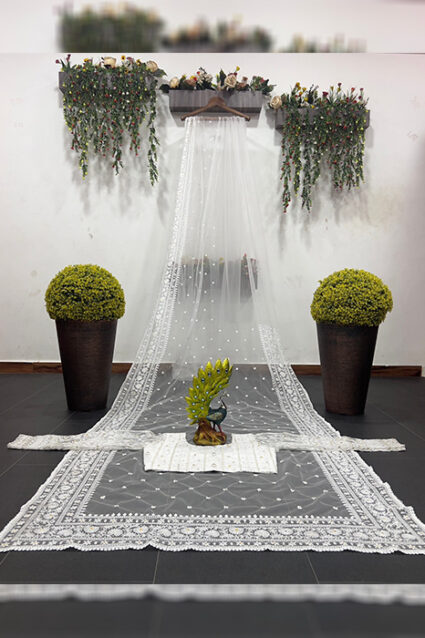 White Embroidered Party Wear Lace Saree