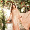 Alluring Peach Saree With Sparkling Sequence Work 2023