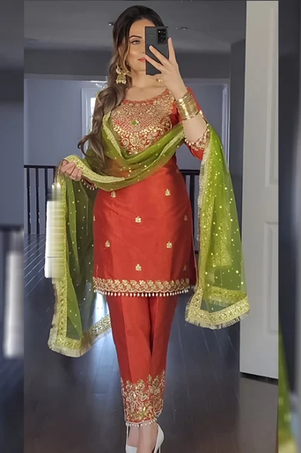 Punjabi Suit Ethnic Race