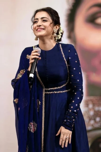 Georgette Full-Sleeved Anarkali Gown With Stylish Dupatta