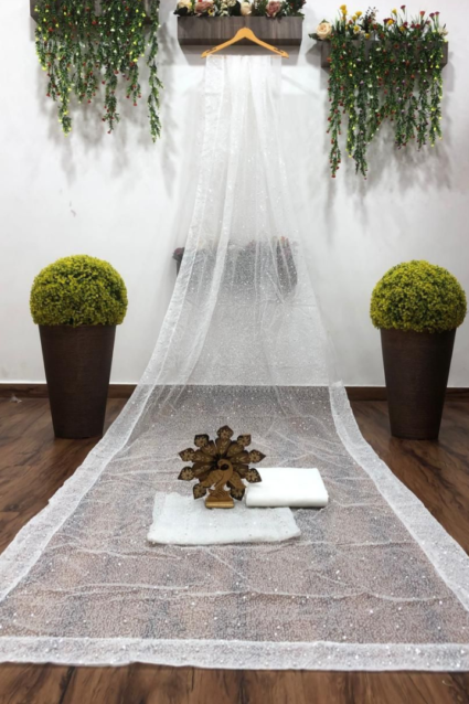 Kriti Sanon Bollywood Saree In Stunning Pearl Work