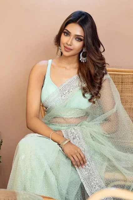 Farewell Special Butterfly Net Saree