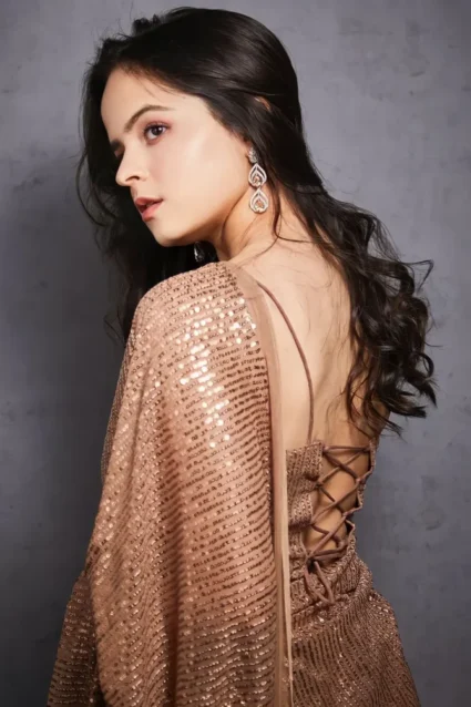 Latest Palak Sidhwani Brown Saree For Farewell