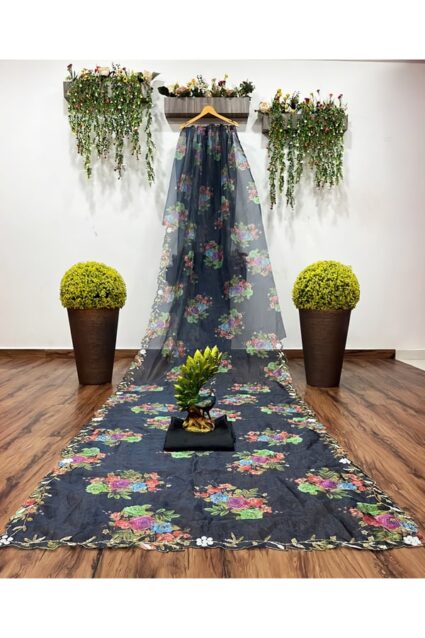 New saree design 2024 Image Party wear