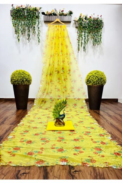 New saree design 2024 Images Latest Party