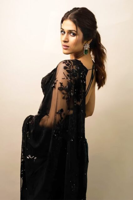 Party Wear Net Saree Look of Sharddha Das