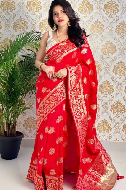 Red Banarasi Saree For Wedding In 2024