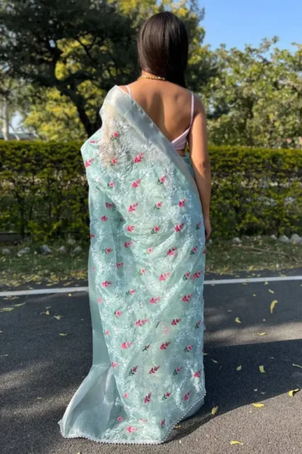 Wedding Guest Look In Organza Saree