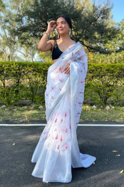 Wedding Guest Look In Organza Saree
