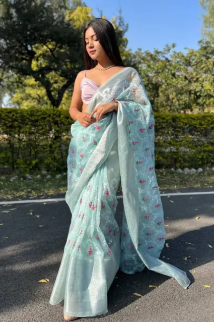 Wedding Guest Look In Organza Saree