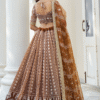 Front view of the Brown Sangeet Lehenga Choli with a model wearing it, highlighting the stunning ...
