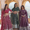 Intricately Designed Lehenga Choli Style for Women Fashion Clothing Online Store Ethnic Race Feat...