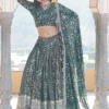 Intricately Designed Lehenga Choli with Embroidered Work Viscose Jacquard Fabric Showing Off the ...