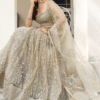 Close-up of ivory net fabric close-ups reveal delicate sequence work that adds depth to this stun...