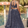 Gorgeous grey georgette lehenga choli from the front in all its glory