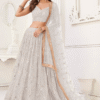 White Thread Embroidery Party Lehenga Choli showcasing the beautiful back view with delicate embr...