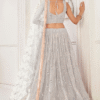 Cropped view of the stunning net fabric used in this White Thread Embroidery Party Lehnga Choli -...