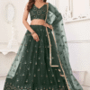 Detailed Close-up of Dark Green Net Embroidered Lehenga Choli Lehenga Border and Choli Work, Perf...