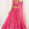 Pink Embroidered Net Lehenga Choli Close-Up of Embroidery.jpg